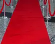 Carpet Runners for Restaurants & Homes - 1