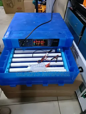 64 Egg Incubator (AC/DC)