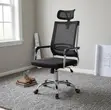 Executive High-Back Ergonomic Office Chair - 1