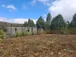 0.1 Acre Residential Land for Sale - Nguirubi, Ndeiya - 1