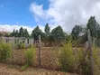 0.1 Acre Residential Land for Sale - Nguirubi, Ndeiya - 4