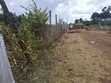 0.1 Acre Residential Land for Sale - Nguirubi, Ndeiya - 5