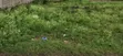 Syokimau Katani 100x100 Commercial Plot Touching Tarmac - 2