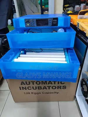 128 Egg Incubator - Solar & Electric