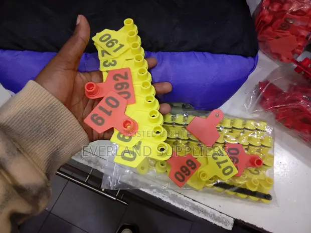 Ear Tags - Designed for Visibility - 1