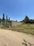 1/4 Acre Prime Land for Sale in Syokimau Katani - 2