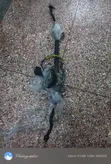 Mazda Demio (Old) / Verisa Steering Rack - 1