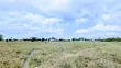 50x100 Land for Sale in Isinya - 1