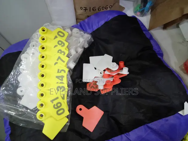 Ear Tags - Custom Marking Ready - 1