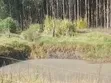 9 Acres Land with House & Trees in Kipipiri - 4