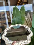Boho Beaded Irregular Mirror Tray - 4