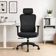 Ergonomic Mesh Office Chair - Black - 1