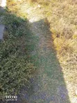 Sabaki 10 Acres Off Mombasa Road, Titled - 2