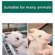 800ml Plastic Suspended Milk Feeding Bottle with Handle for Lambs, Goats - 3