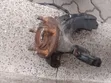 Used Mazda Premacy Front Control Arms (Ex-Japan) - 2
