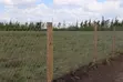 Mbuni Gardens Residential Plot for Sale - 3