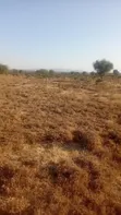 Joska Phase 1B Plot for Sale - 2