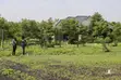 50x100 Mwea Plots for Sale - 1