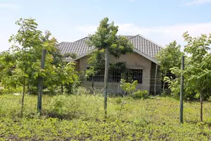 50x100 Mwea Plots for Sale