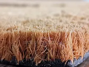 Heavy Duty Coir Mat Roll 1x10m, 15mm Thick Entrance Door Mat