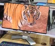 Dell U2421HE 24" Frameless Full HD Monitor - 5