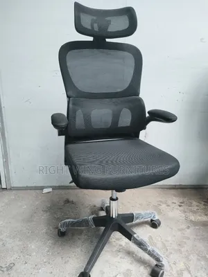 Ergonomic Mesh Office Chair with Arms - Black