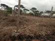 Prime Residential Plot Kwa Murage - 3