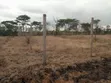 Prime Residential Plot Kwa Murage - 4