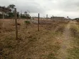 Prime Residential Plot Kwa Murage - 5