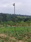 Eneo la Hekta 12 Lililoendelezwa kwa Kilimo Msambweni, Kwale - 3