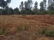 Runda Prime 1/4 Acre Plot - Serviced Red Soil - 3