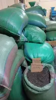 Whole Sunflower Seeds - 200shs/kg - 2