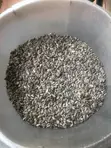 Whole Sunflower Seeds - 200shs/kg - 3