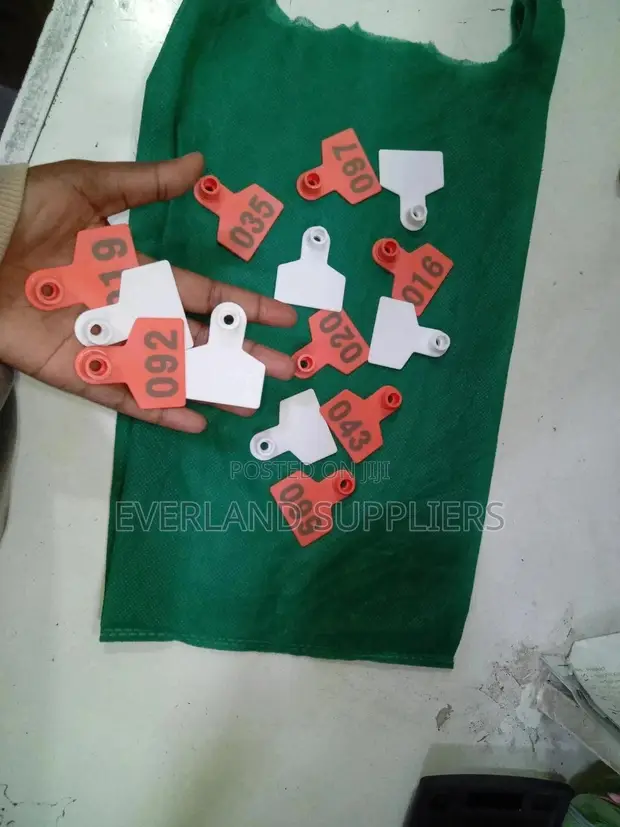 Ear Tags - Clear, Functional Pack - 1