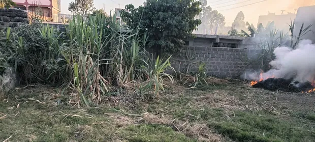Undeveloped Plot for Sale in Mwiki - 1