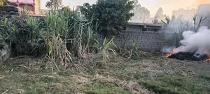 Undeveloped Plot for Sale in Mwiki