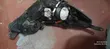 Subaru Legacy 2010 Xenon Headlight - 2