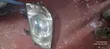 Toyota Noah 2002 Headlight (Non-Xenon) - 1