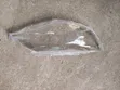 Headlight Lens Cover for Subaru Impreza N12 - 2
