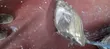 Toyota Passo Sette 2010 Headlight (Non-Xenon) - 2