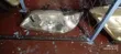 Mitsubishi Lancer 2008 Headlight (Japan) - 1