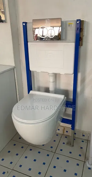 Wall Hung Concealed Toilet - Premier