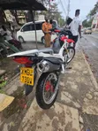 Haojin Hawk HJ200GY-3 2025 Red - 4