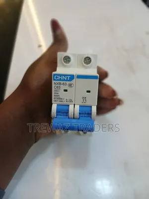 Chint 63A Double Pole Circuit Breaker