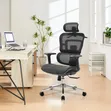 Orthopedic Boss Chair - Brand New - 2