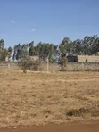Residential Plot for Sale at Juja Farm - 3
