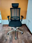 Orthopedic Office Chair - Rotate & Recline - 1