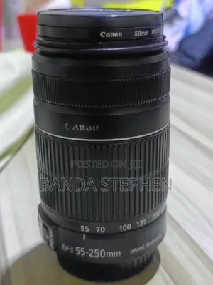 Canon EF 55-250mm f/5.6 Zoom Lens