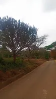 Eneo la Prime la Eka 2.5 za Kibiashara kwenye Barabara ya Thika, Kinyume na Hoteli ya Blue Post - 1