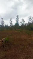 Eneo la Prime la Eka 2.5 za Kibiashara kwenye Barabara ya Thika, Kinyume na Hoteli ya Blue Post - 3